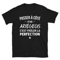 Thumbnail for Ariégeois Frôler la perfection - T-shirt Standard - Ici & Là - T-shirts & Souvenirs de chez toi