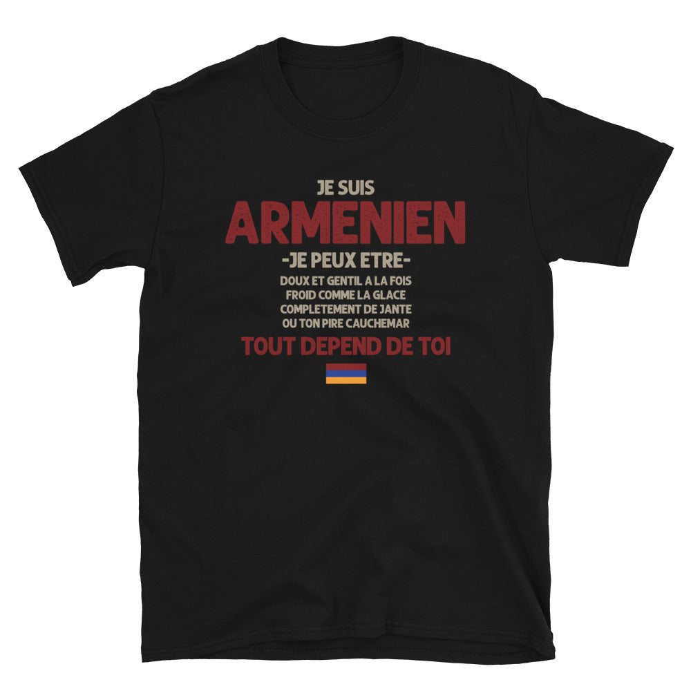 Arménien ça dépend de toi - T-shirt Standard - Ici & Là - T-shirts & Souvenirs de chez toi