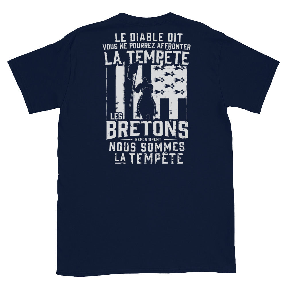 T-shirt Bretagne marine dos - Les Bretons, nous sommes la tempête