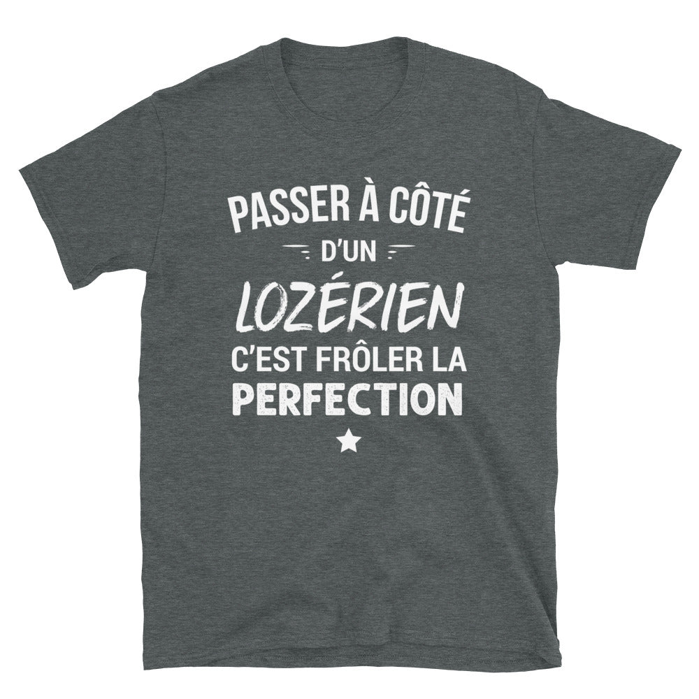 T-shirt Lozérien bleu marine dos - Frôler la perfection