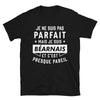 T-shirt Béarn gris chiné - Confort et fierté locale