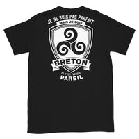 Thumbnail for T-shirt Bretagne noir - Je ne suis pas parfait mais je suis breton
