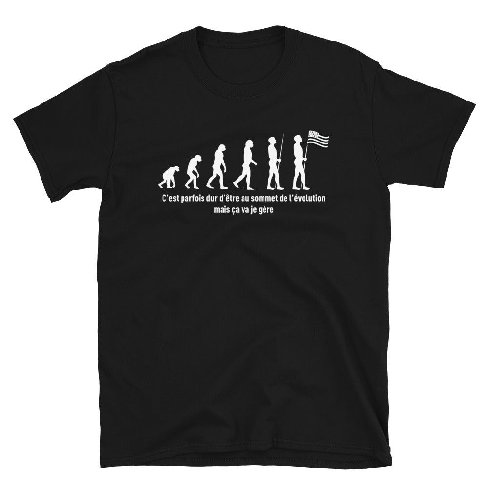 T-shirt Bretagne noir - Évolution de l'homme humoristique