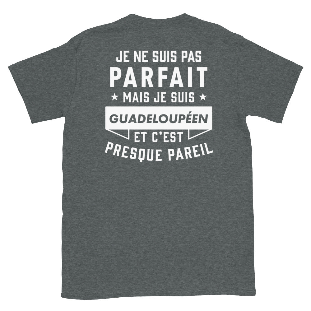 T-shirt Guadeloupe bleu marine - Je ne suis pas parfait mais.