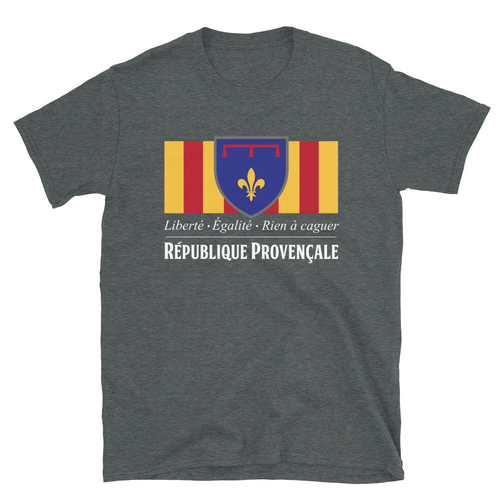 T-shirt Provence bleu marine dos - Drapeau ancien et moderne