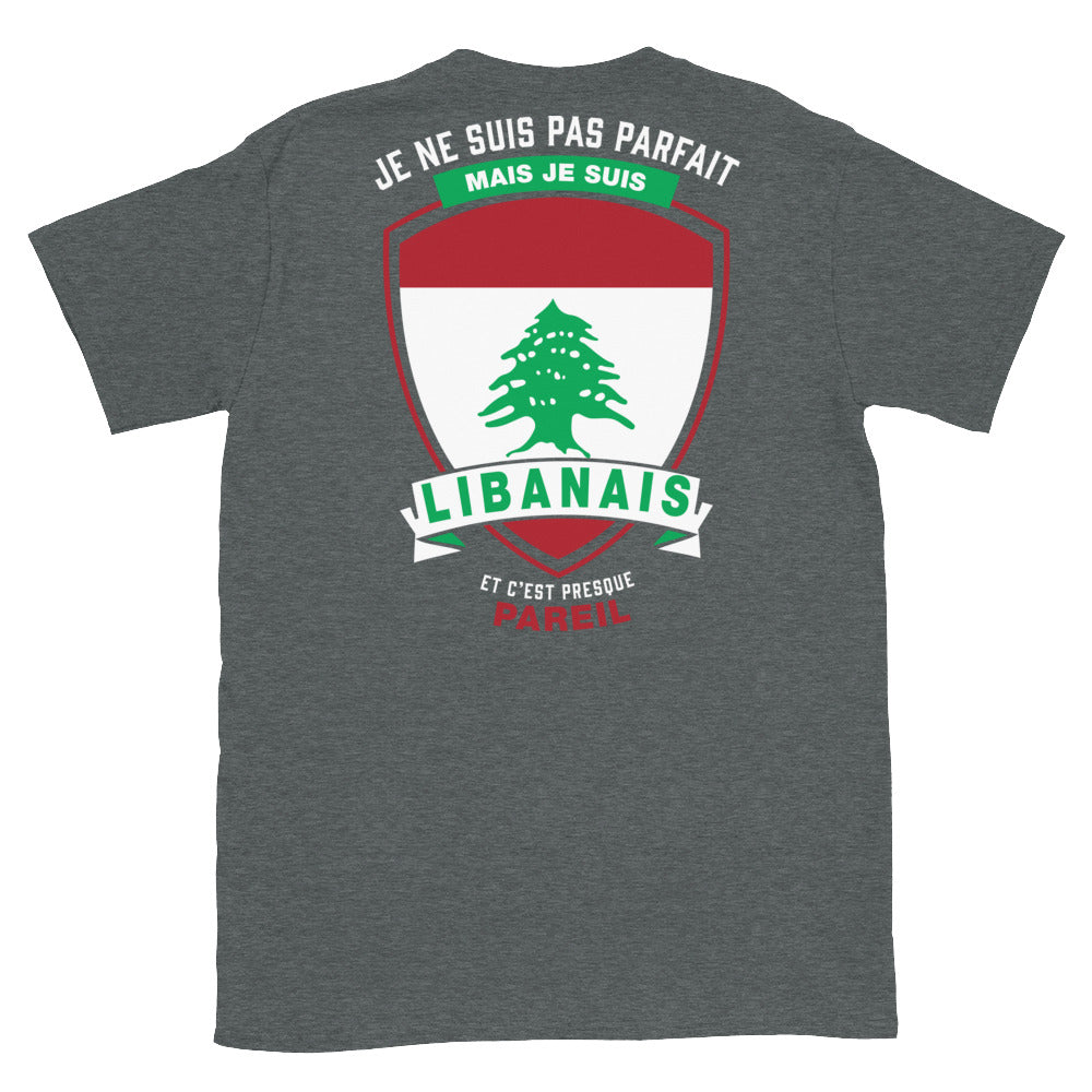 T-shirt Libanais gris foncé - Je ne suis pas parfait mais.