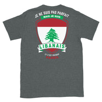 Thumbnail for T-shirt Libanais gris foncé - Je ne suis pas parfait mais.