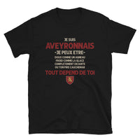 Thumbnail for Aveyronnais tout depend de toi - T-shirt Standard - Ici & Là - T-shirts & Souvenirs de chez toi