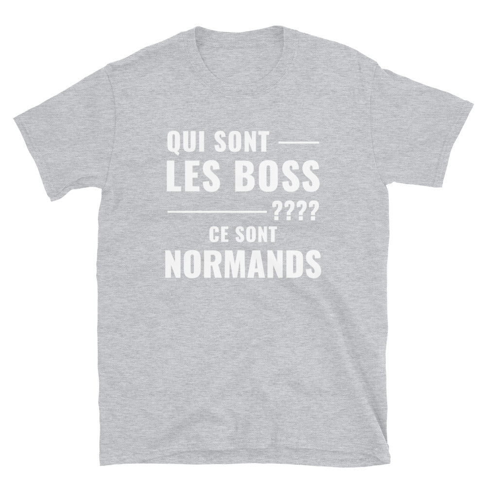 T-shirt Normand bleu marine dos - Les Boss, version grammaticale