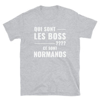 Thumbnail for T-shirt Normand bleu marine dos - Les Boss, version grammaticale