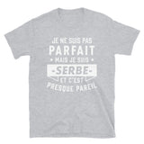 Parfait Serbe v2 -  T-Shirt standard - Ici & Là - T-shirts & Souvenirs de chez toi