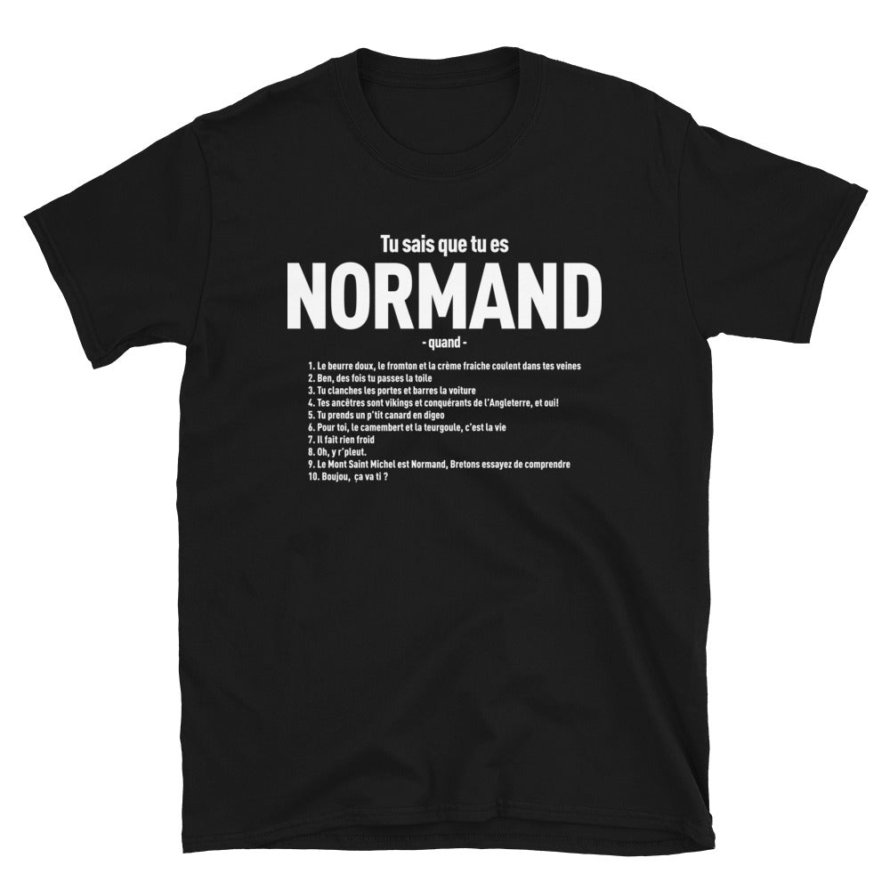 T-shirt Normand noir - Tu sais que tu es normand quand...