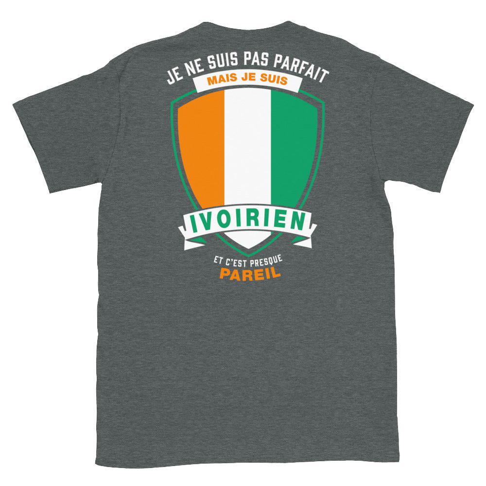 T-shirt Ivoirien bleu marine - Je ne suis pas parfait mais
