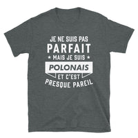 Thumbnail for T-shirt Pologne gris foncé - Fierté et humour en coton
