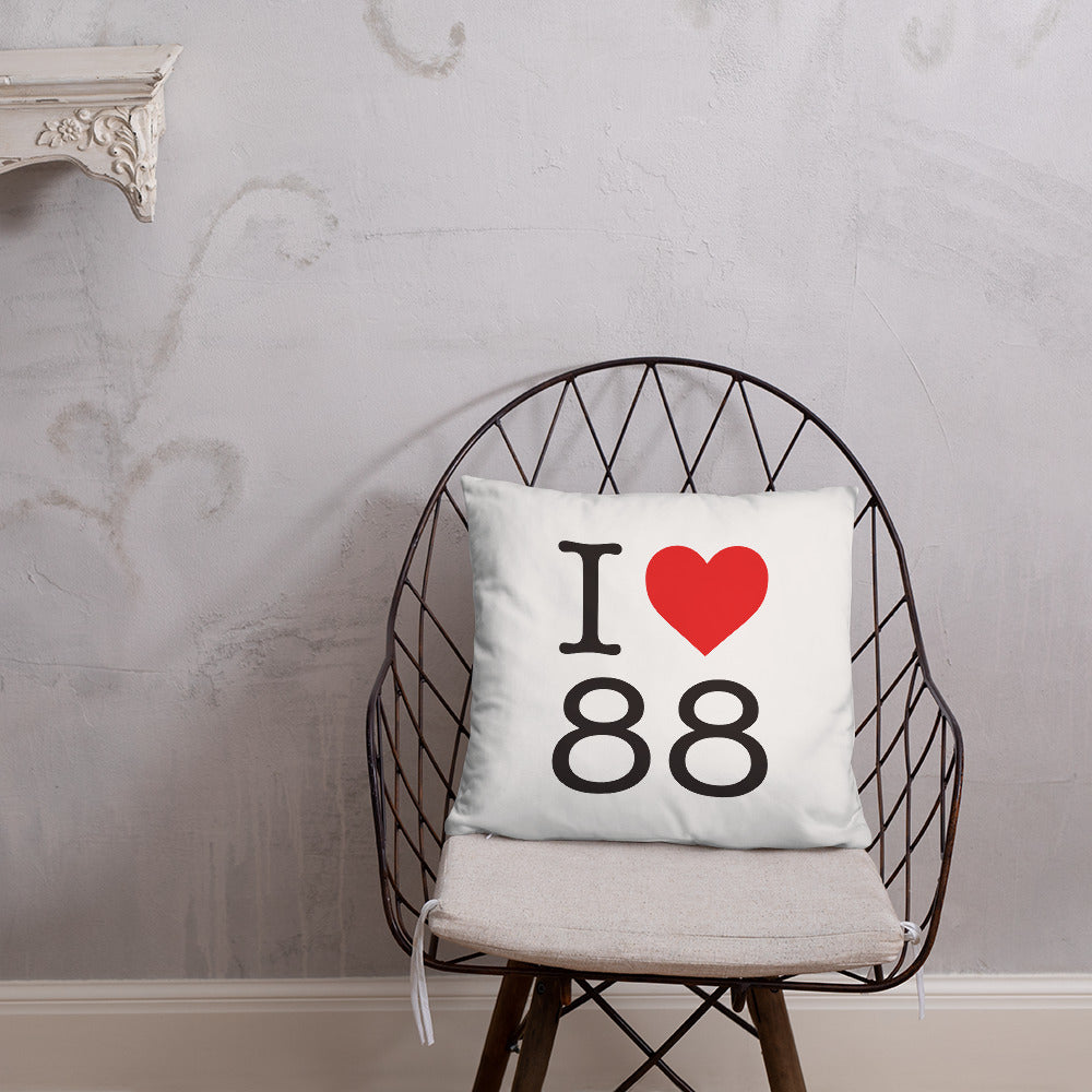 Coussin décoratif Vosges - Style NY - accent stratégique
