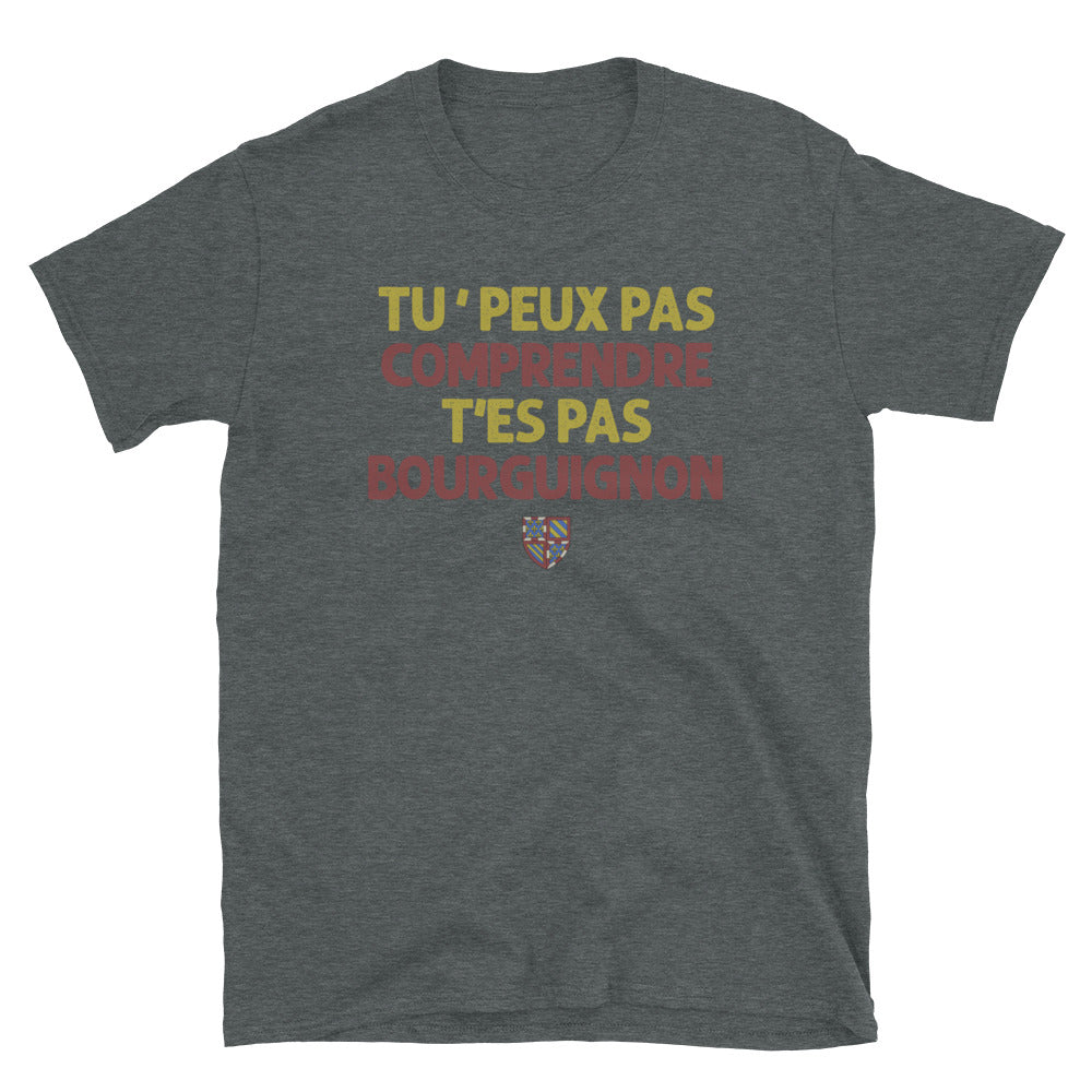T-shirt Bourgogne gris foncé dos - Tu ne peux pas comprendre t'es pas bourguignon