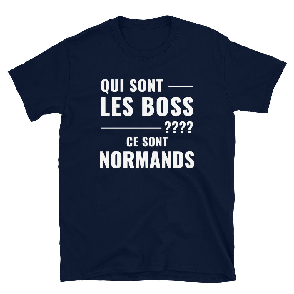 T-shirt Normand gris sport - Les Boss, version grammaticale