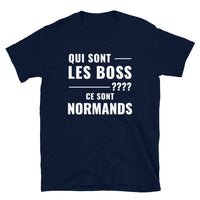 Thumbnail for T-shirt Normand gris sport - Les Boss, version grammaticale