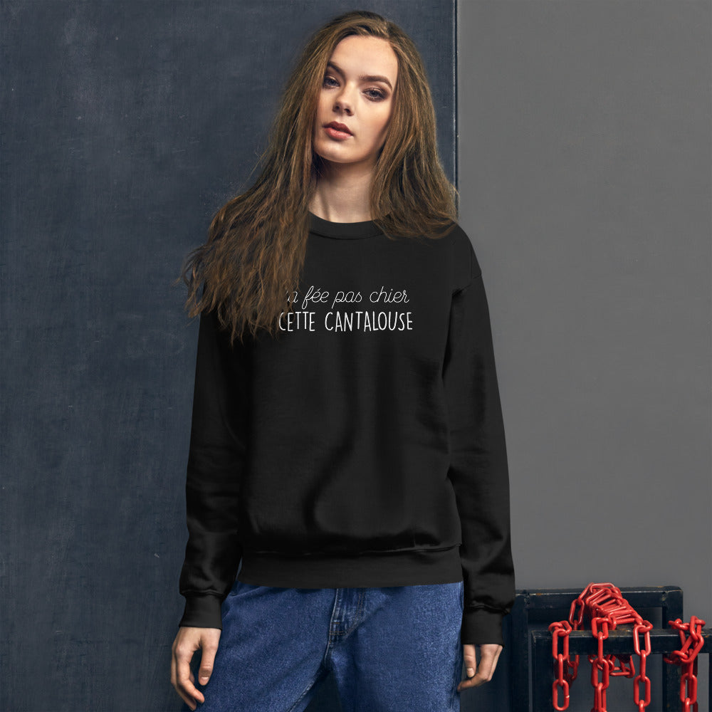 Sweatshirt Cantalouse bleu marine dos - fée pas chier cette cantalouse