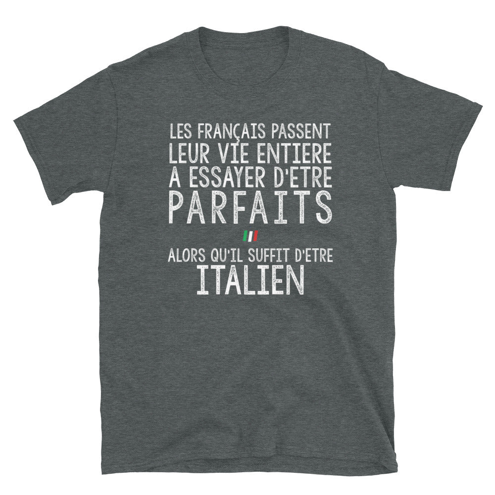 T-shirt italien gris - Les Français passent leur vie entière - vue détail