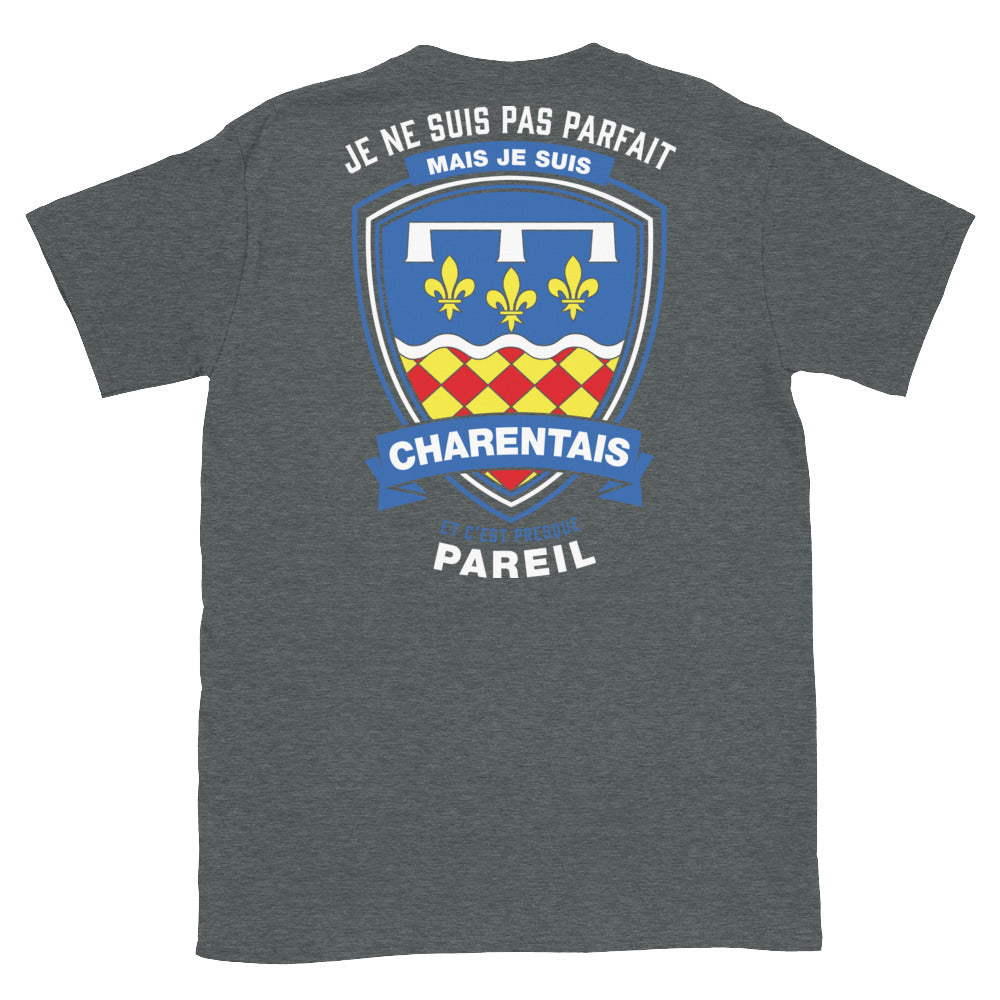 T-shirt Charentais gris foncé - Je ne suis pas parfait mais