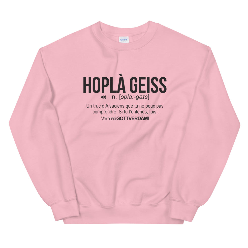 Sweatshirt Alsace bleu clair dos - Définition humoristique
