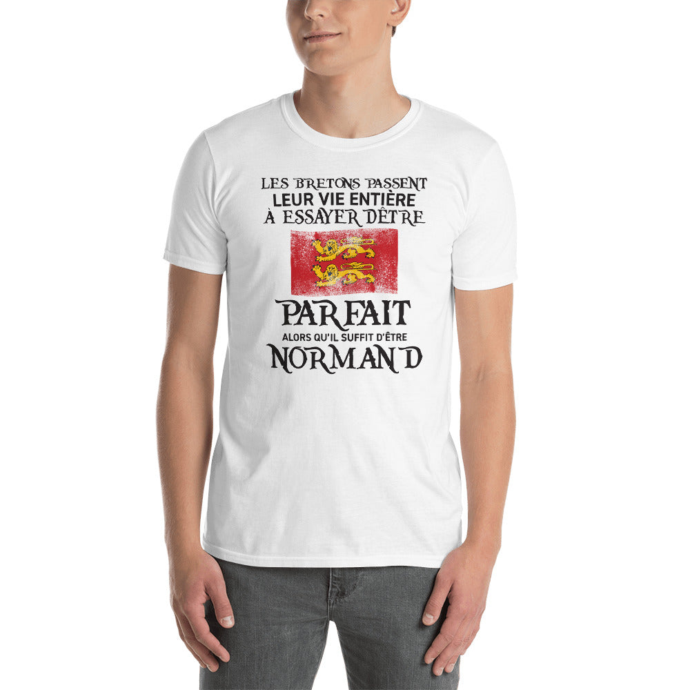 T-shirt Normand gris foncé chiné - Être parfait, c'est simple