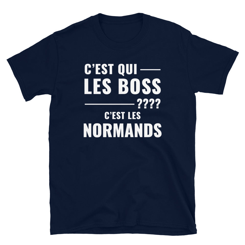 T-shirt Normandie gris sport - Les Boss, c'est les Normands