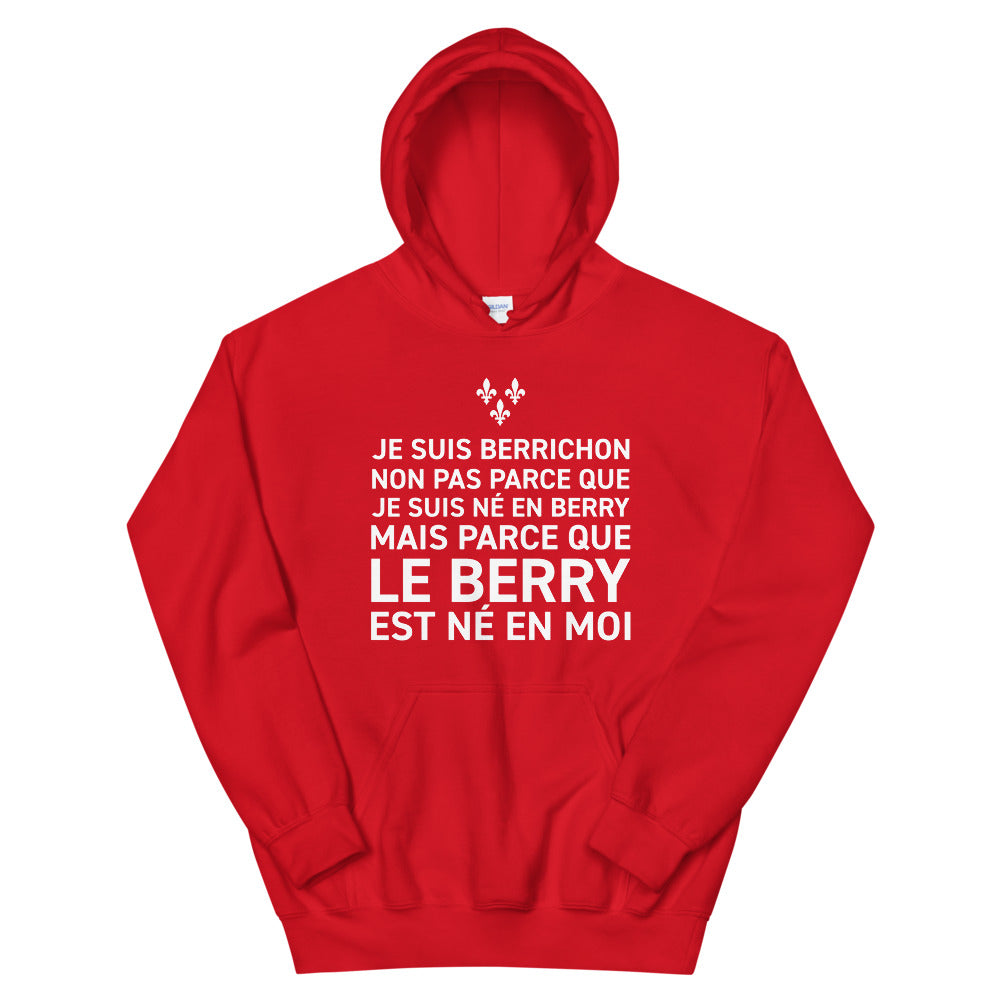 Sweatshirt Berry gris sport dos - Le Berry est né en moi
