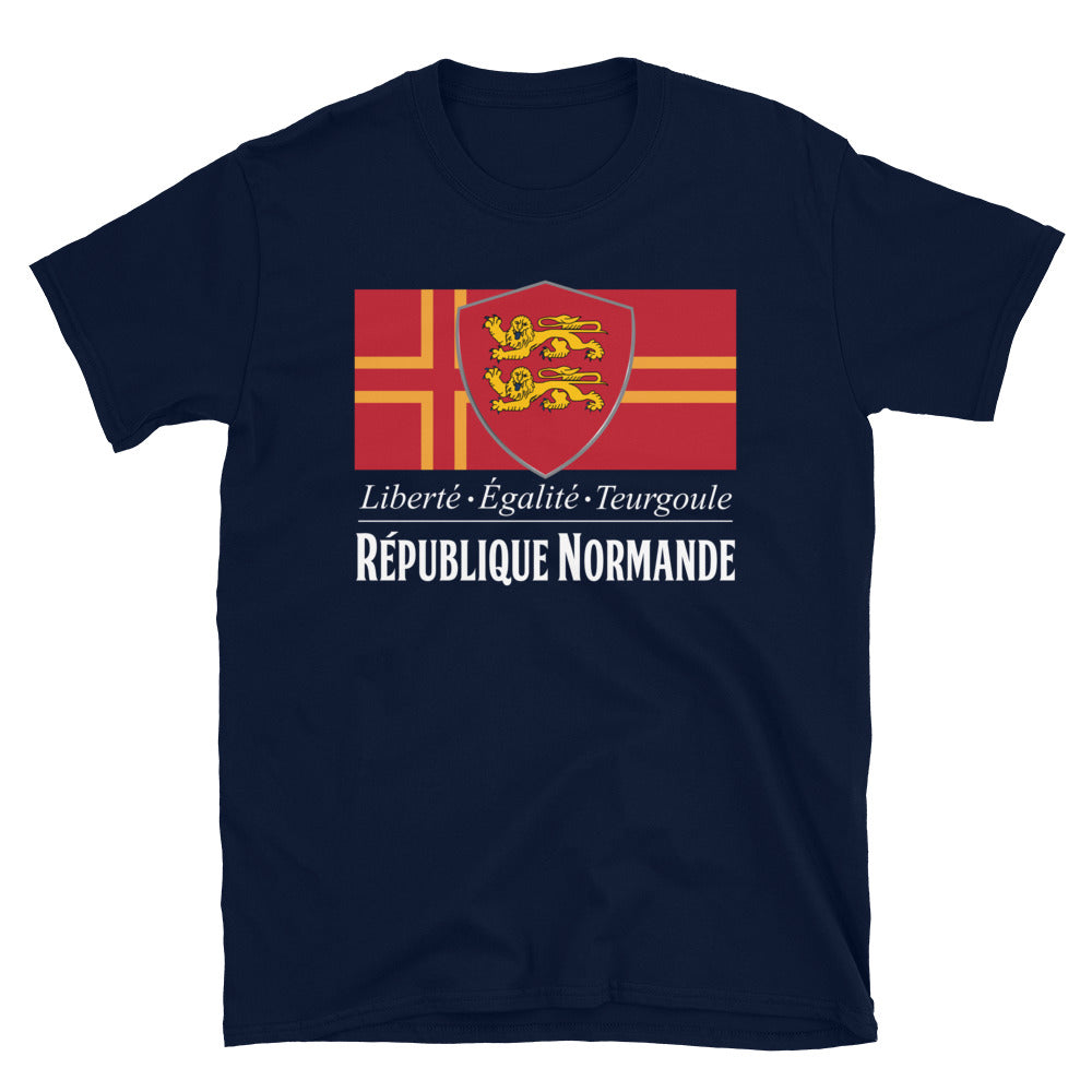 T-shirt Normandie gris chiné dos - Liberté, égalité, teurgoule