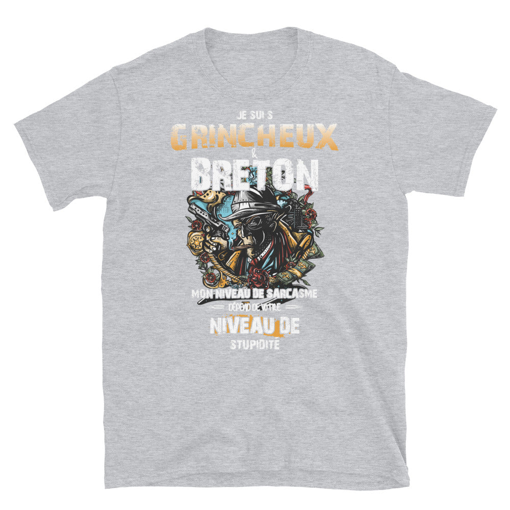 T-shirt Bretagne gris foncé chiné dos - Je suis grincheux et breton