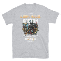 Thumbnail for T-shirt Bretagne gris foncé chiné dos - Je suis grincheux et breton
