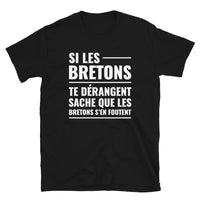 Thumbnail for T-shirt Bretagne noir - Les Bretons s'en foutent