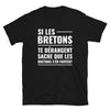 T-shirt Bretagne noir - Les Bretons s'en foutent