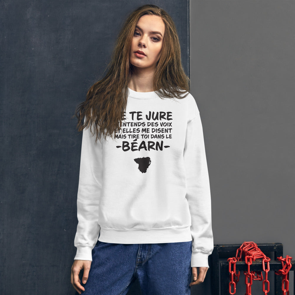 Sweatshirt Béarn gris sport face - Je te jure avec humour