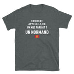 Un mec parfait ? Un Normand - T-shirt Standard - Ici & Là - T-shirts & Souvenirs de chez toi