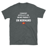 Un mec parfait ? Un Normand - T-shirt Standard - Ici & Là - T-shirts & Souvenirs de chez toi