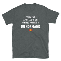 Thumbnail for Un mec parfait ? Un Normand - T-shirt Standard - Ici & Là - T-shirts & Souvenirs de chez toi