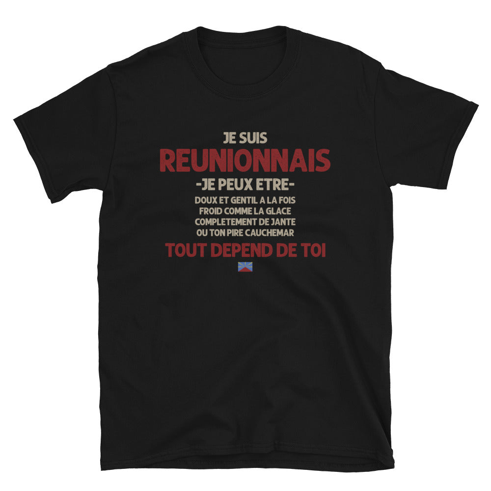 T-shirt Réunionnais bleu marine dos - Ça dépend de toi avec humour