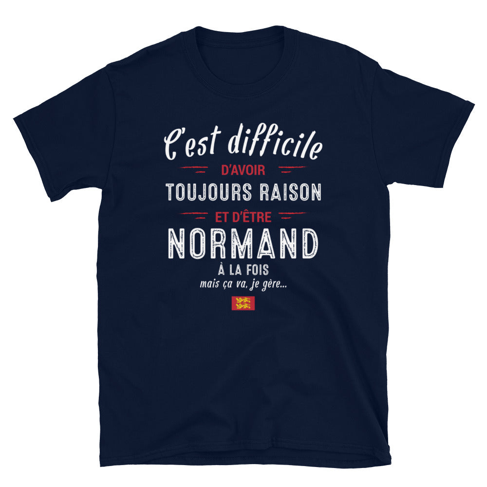 T-shirt Normand gris foncé - C'est difficile d'avoir toujours raison