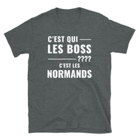 Thumbnail for T-shirt Normandie noir dos - Les Boss, c'est les Normands