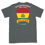 Parfait-bolivien T-shirt Standard - Ici & Là - T-shirts & Souvenirs de chez toi