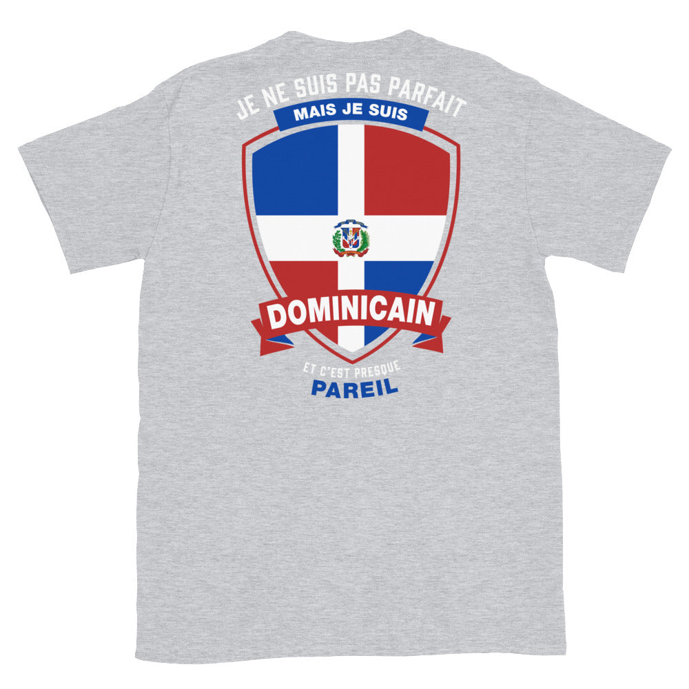 T-shirt parfait-dominicain bleu marine dos - Je ne suis pas parfait mais
