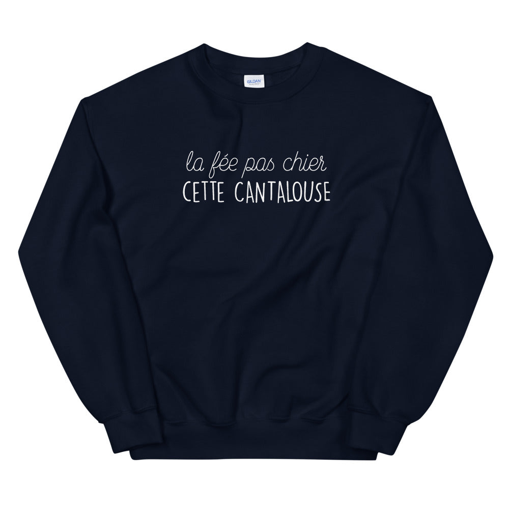 Sweatshirt Cantalouse gris sport dos - fée pas chier cette cantalouse