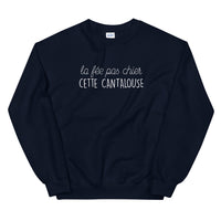 Thumbnail for Sweatshirt Cantalouse gris sport dos - fée pas chier cette cantalouse