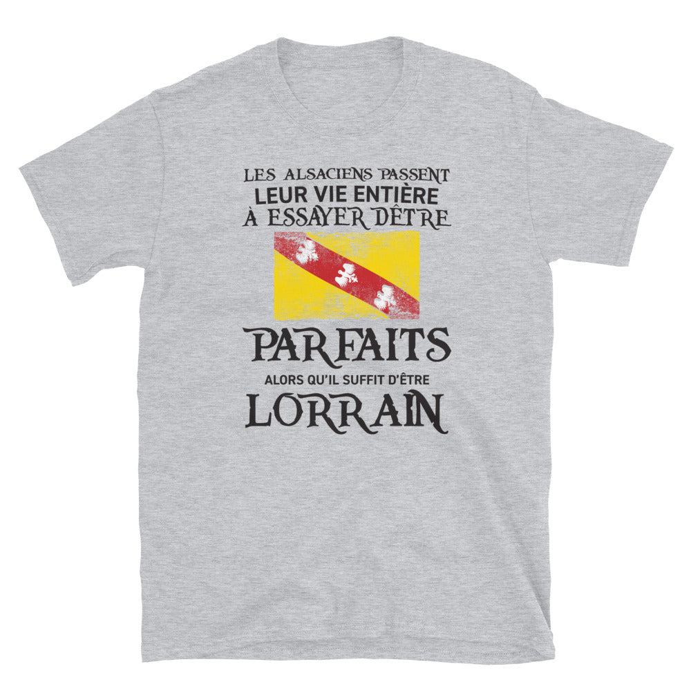 T-shirt Lorrain Parfait gris foncé chiné dos - Les Alsaciens et leur vie entière