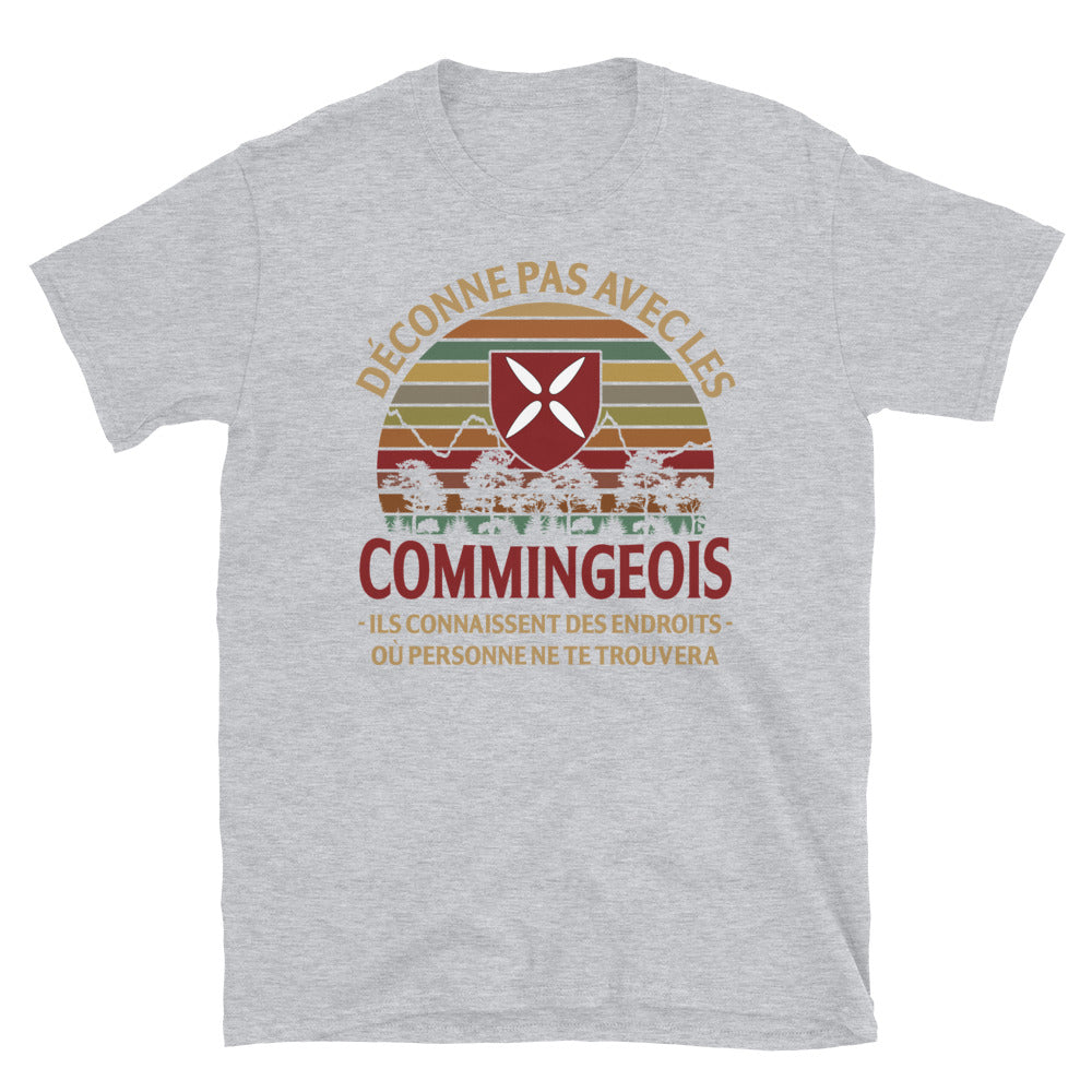 Endroits Commingeois - T-shirt Standard - Ici & Là - T-shirts & Souvenirs de chez toi