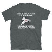 Thumbnail for T-shirt Jurassien gris foncé chiné - 10 heures sans marcher