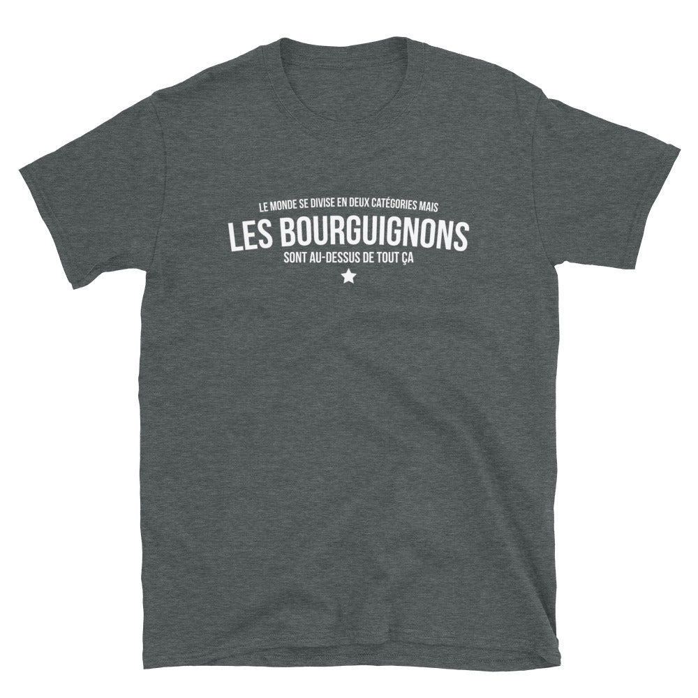 T-shirt Bourgogne gris foncé chiné dos - Le monde se divise en deux catégories
