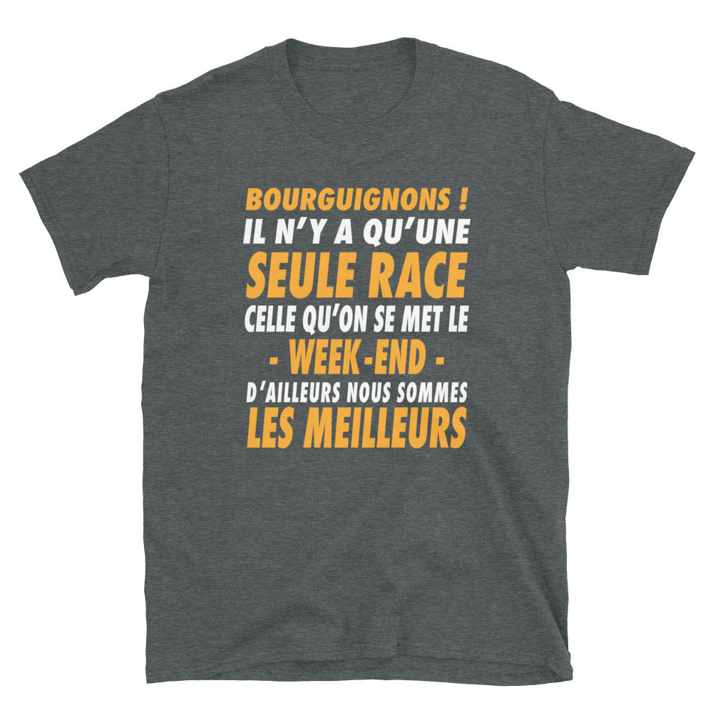 Bourguignons, il n'y a qu'une seule race - T-shirt Standard - Ici & Là - T-shirts & Souvenirs de chez toi